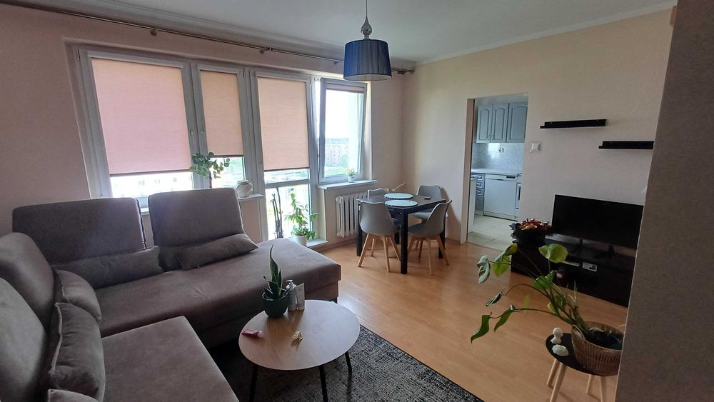Kawalerka na wynajem 31m Piątkowo - Widok 2