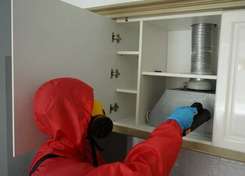 Дезінфекція дезінсекція травля тарганів клопів блохів щурів Гарантія