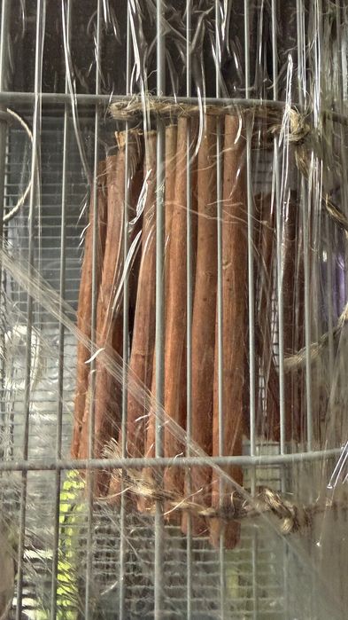 Gaiola para girbilos com acessório e comida