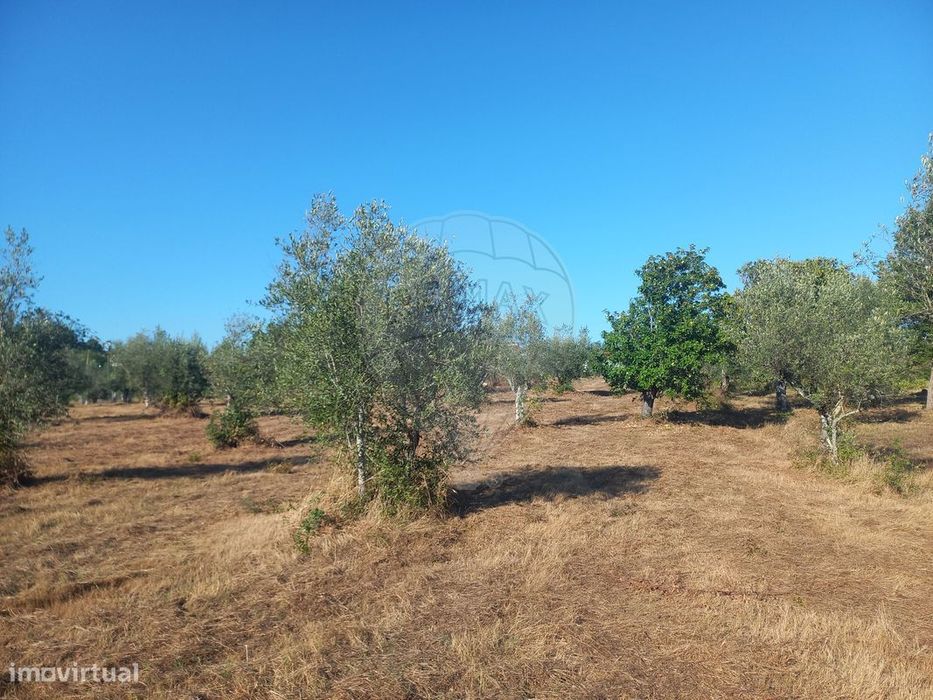 Terreno  para venda — Pussos São Pedro, Leiria