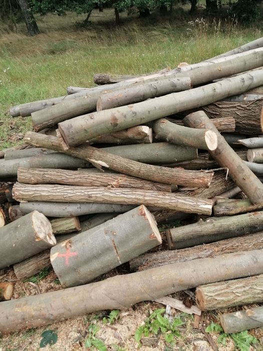 SUCHE drewno opałowe RÓŻNE!