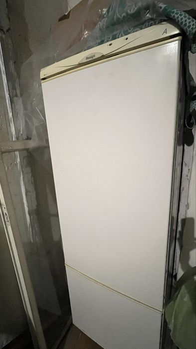 Холодильник Snaige