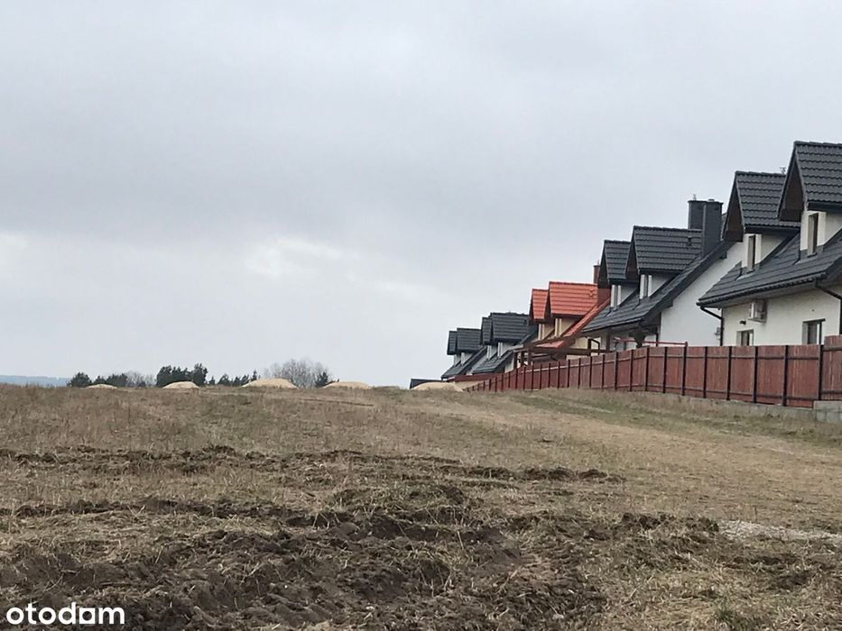 Zdjęcie 3