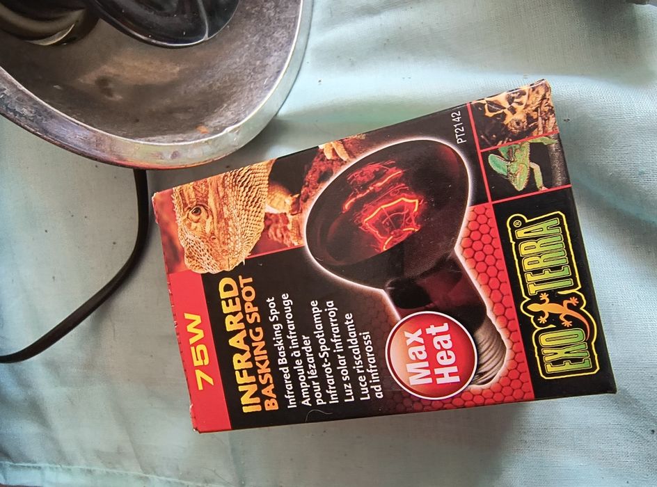 Lampa grzewcza podczerwień 75 w