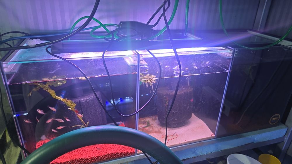 Aquario dividido em tres