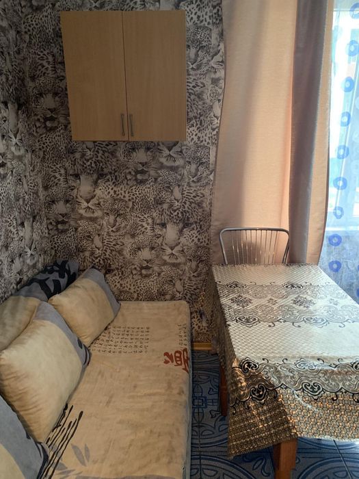 Подобово погодин 2 кім квартир Газплита духовка Джакузі 6місць 1поверх