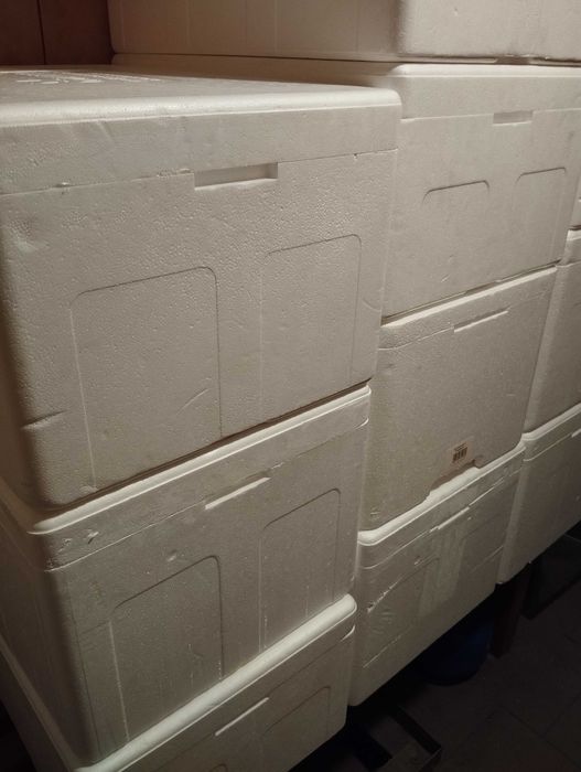 Styrobox 40x60x32, termobox.