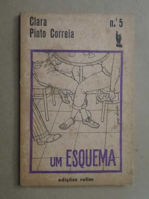 Um Esquema de Clara Pinto Correia