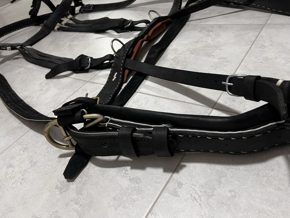 Шлея шкіряна на коня. Преміум якості ,Виробник Румунія!