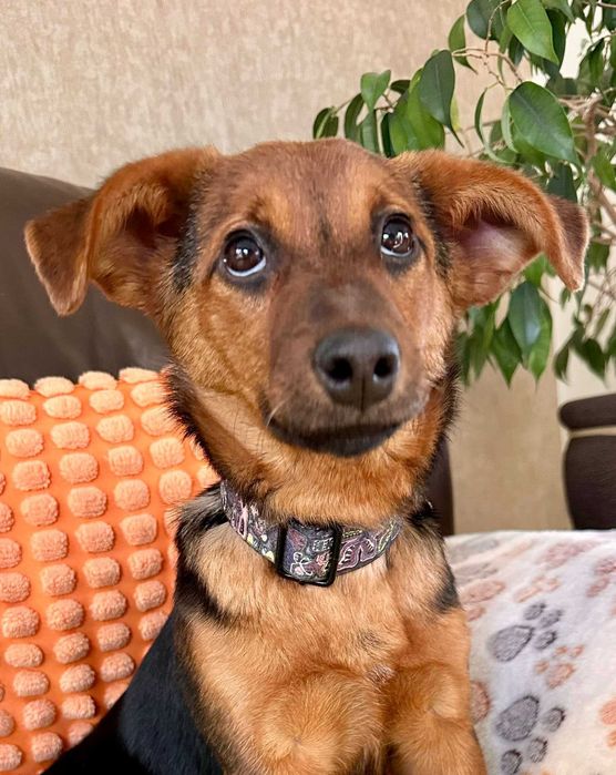 Urocza Zonia czeka na rodzinkę!