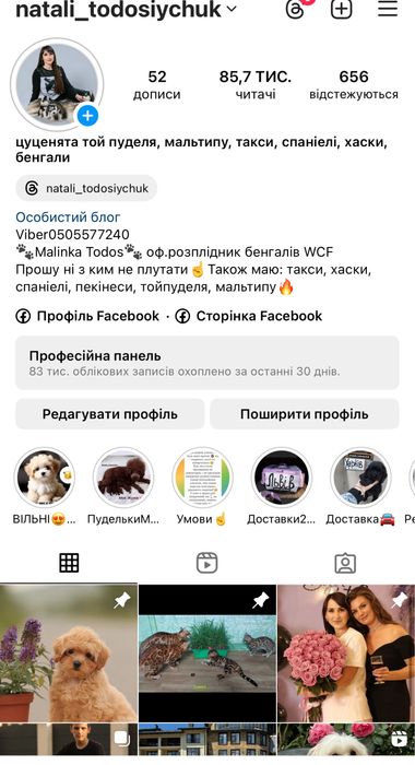Продаж супер гарних цуценят. Є доставка