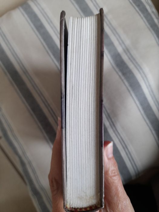 Livro "O deus das pequenas coisas "