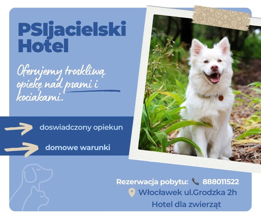 Hotel dla psów Włocławek