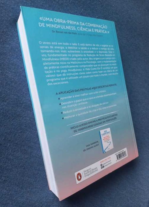 Mindfulness; A vida como ela é - Jon Kabat-Zinn