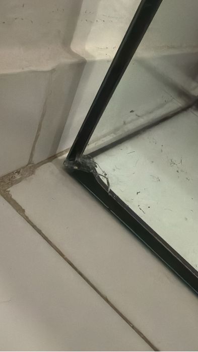 Aquário Terrario