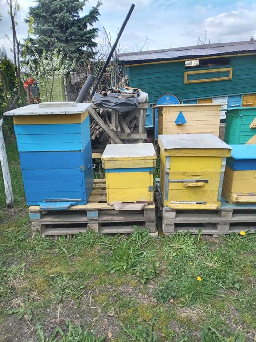 Продаж нових  вуликів