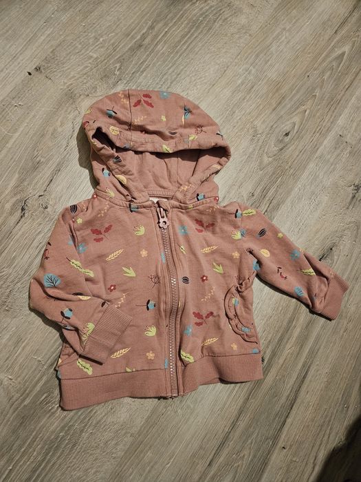 Dziewczęca bluza Fox & Bunny Sinsay. Rozmiar 74