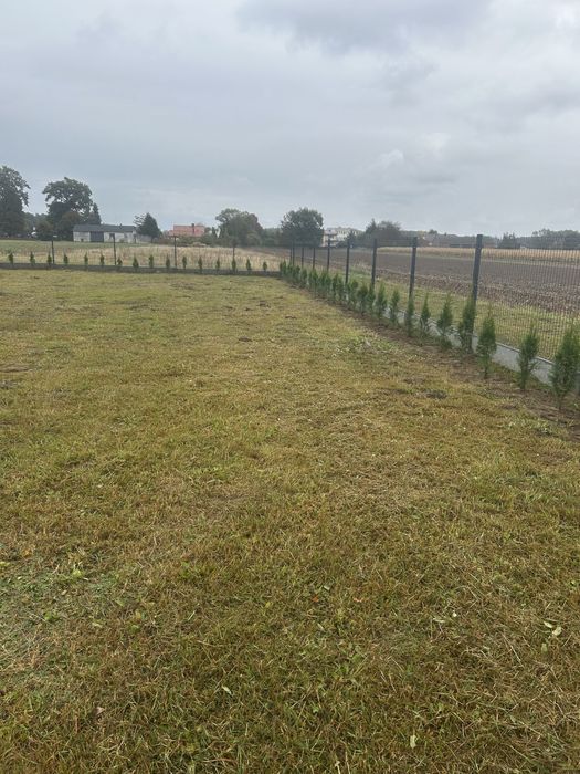 działka 742 m², pozwolenie na budowę + projekt, media, Dębe. - Widok 2