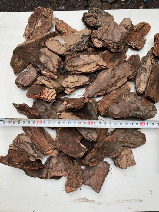 Кора соснова від виробника