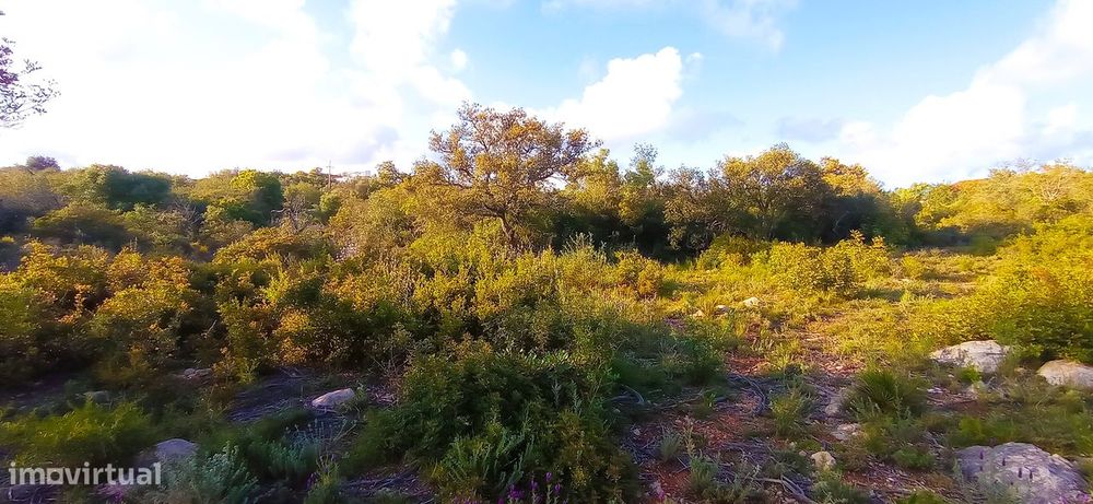 Terreno Rústico  Venda em Conceição e Estoi,Faro