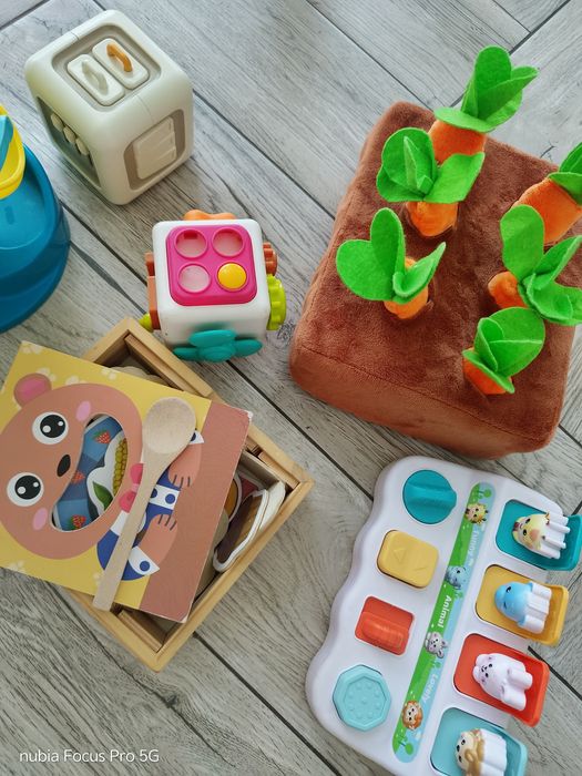 Сортеры , развивающие игрушки