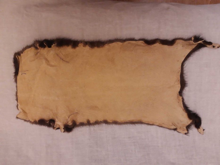 Норки шкурки отделанные