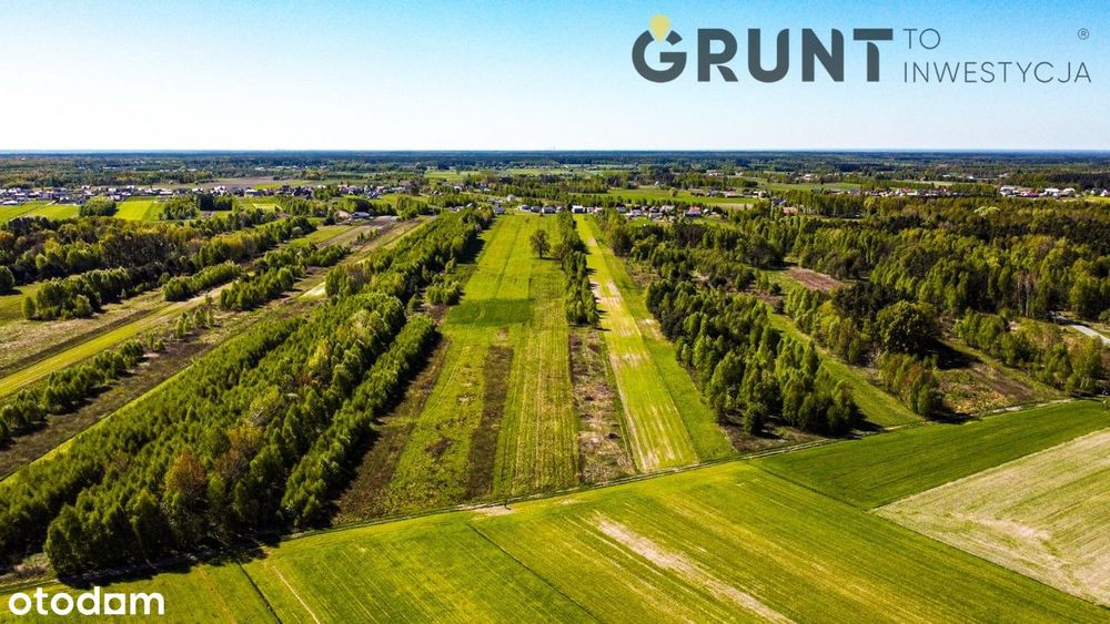 Działka budowlana w leśnej okolicy