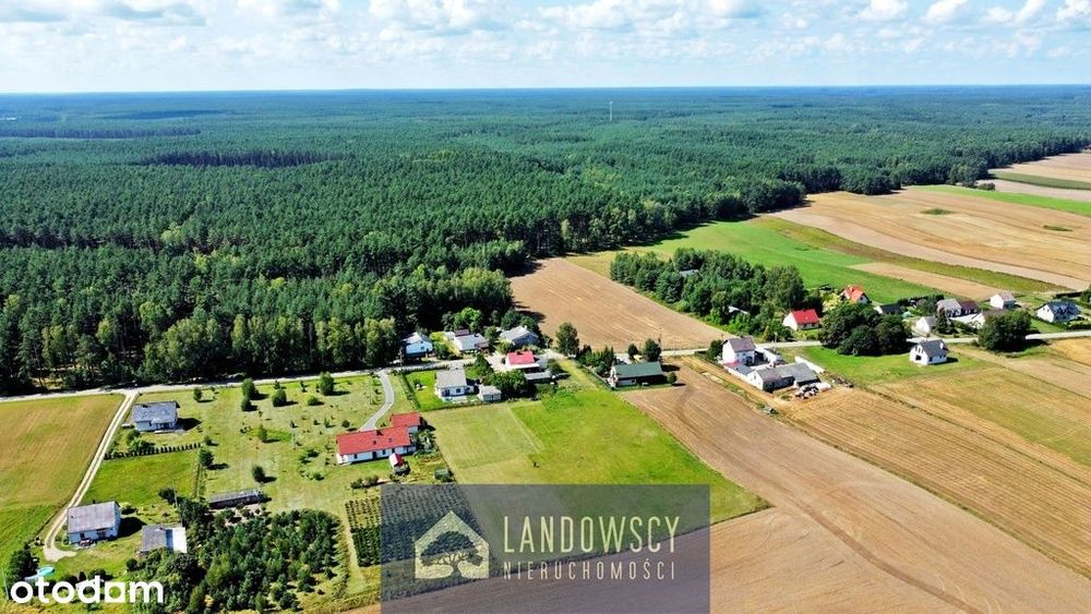 Działka w Osowie Leśnym-Twój azyl ciszy wśród lasu
