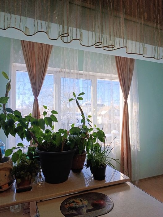 Здам кімнату жінці