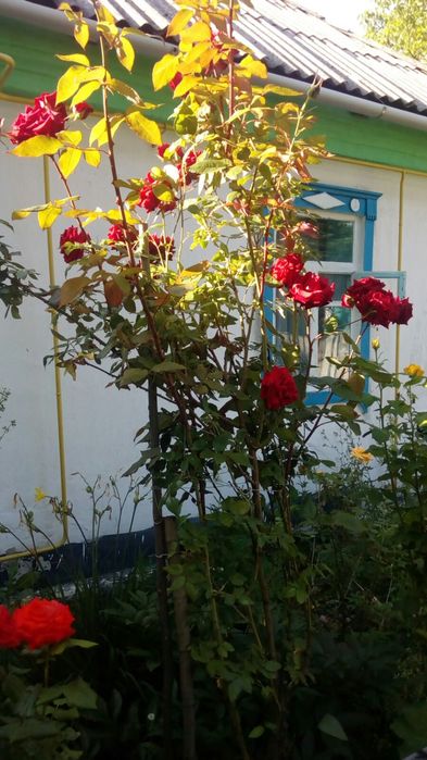 Продається будинок