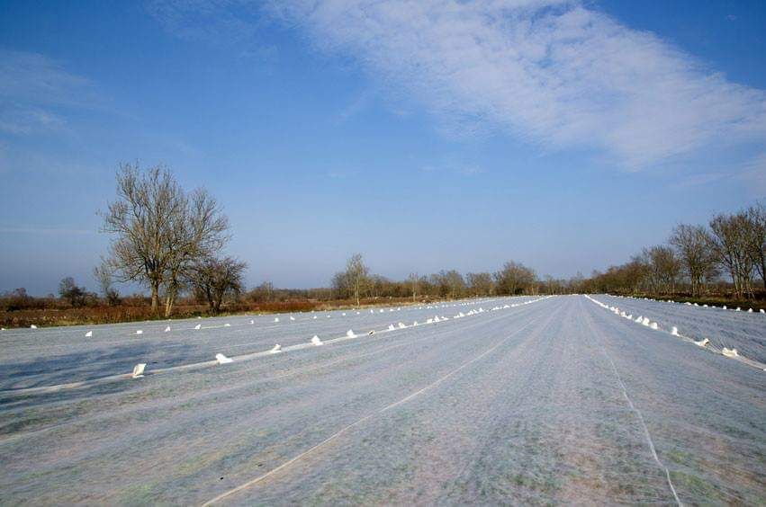 12,65x100m P30 Agrowłóknina okryciowa na przymrozki SZYJEMY NA WYMIAR