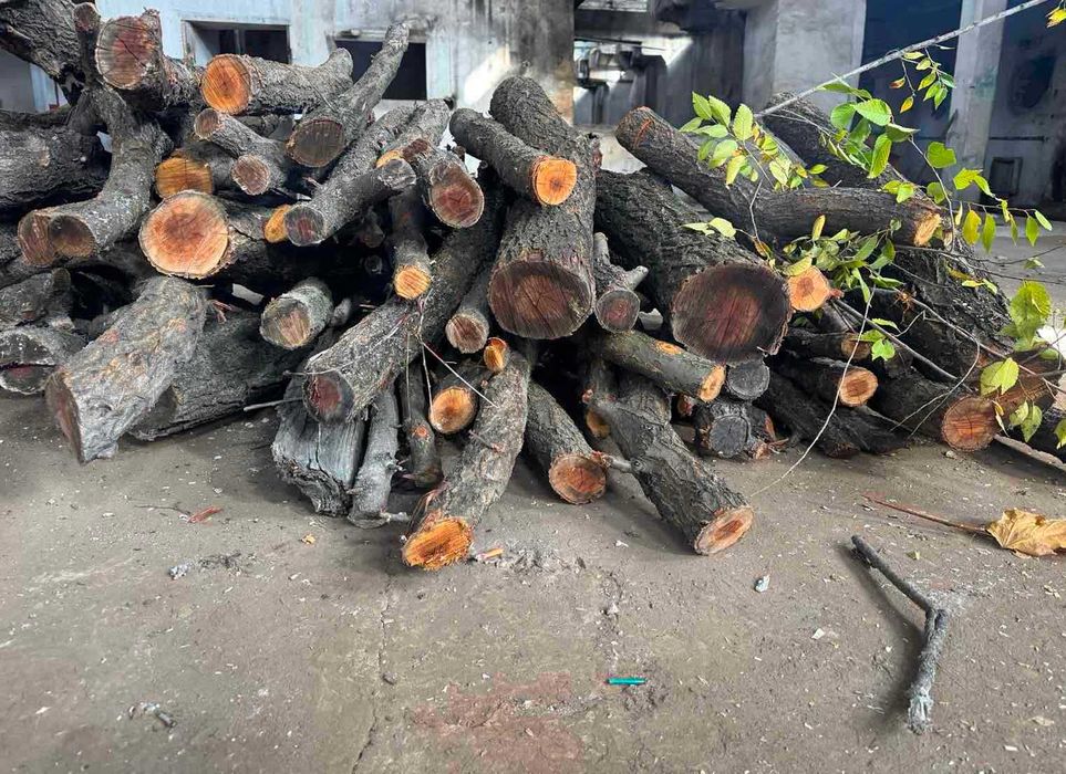 НЕДОРОГО Продам Дрова твёрдые с ДОСТАВКОЙ / Акация ДУБ Ясень Берест