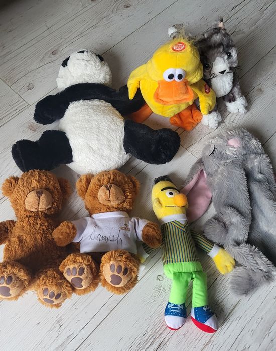 Maskotki pluszowe - bert, kot, panda, kaczka