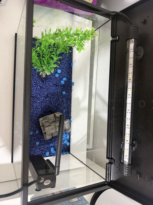 Aquario Completo