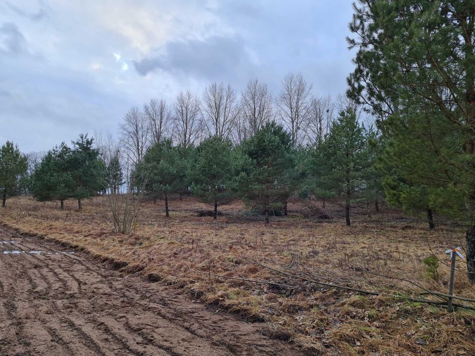 Najlepsze w okolicy działki, cisza, natura, jezioro
