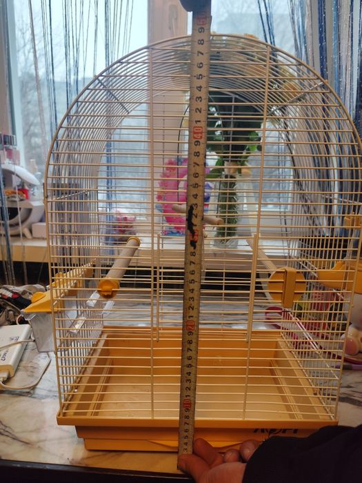 Клітка для паруги