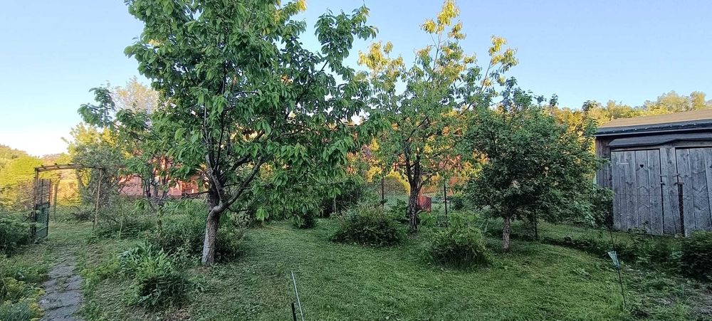 sprzedam działkę ROD w Olsztynie, Słoneczna Polana - Widok 3