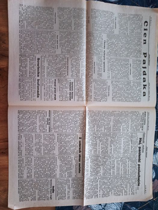 Dziennik Żolnierza APW 28 listopada 1944