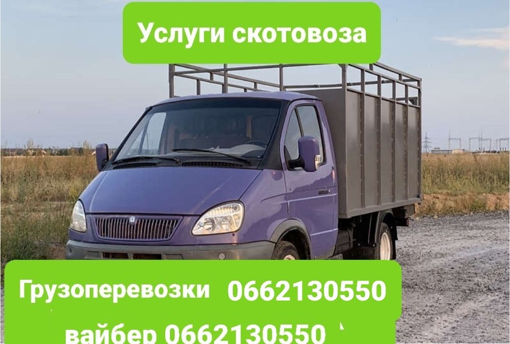 Услуги скотовоза. Коровы,быки,свиньи,бараны и т.д.