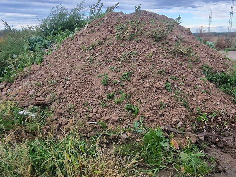 Ziemia na podniesienie terenu. Oddam za darmo