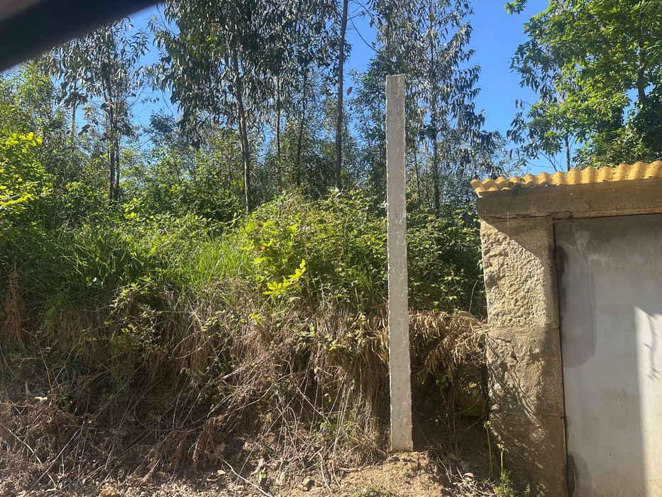 Terreno 6000m² em Vilar – Vila do Conde | Zona Industrial