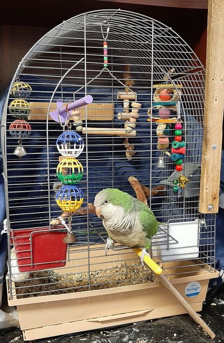 Присада, ігровий куточок, игровой уголок для папуг, пташок, 64×70×65