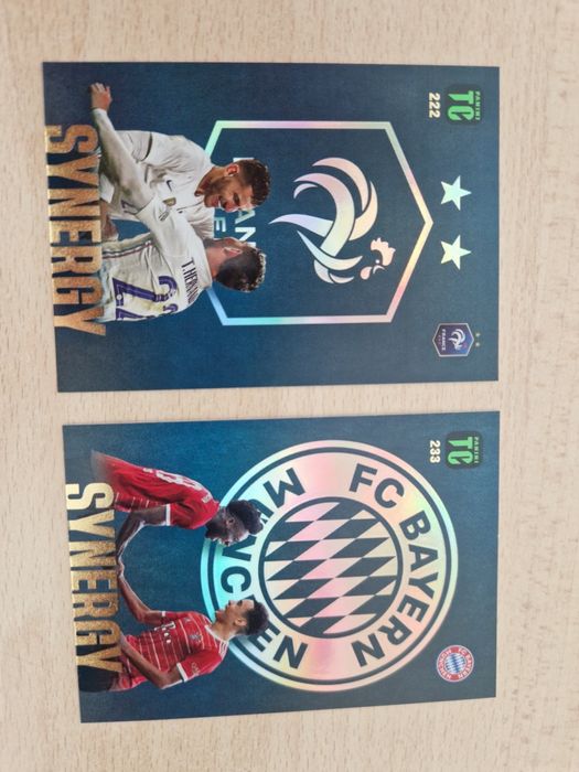 Panini Top Class 2023 SYNERGY