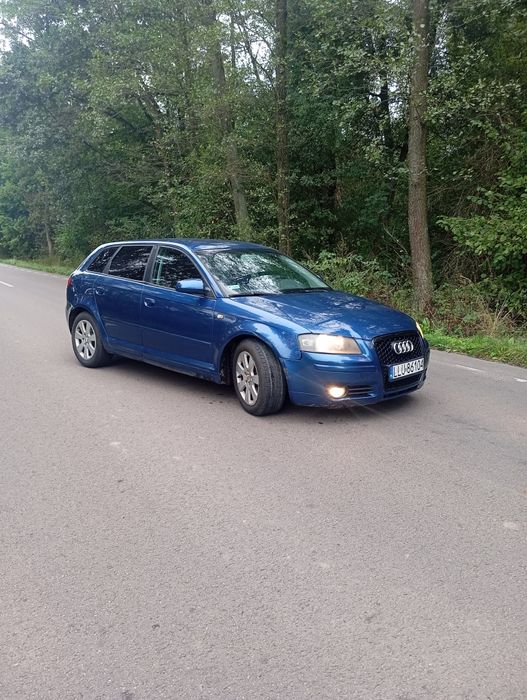 Audi a3 8p 2.0tdi 5 drzwiowa