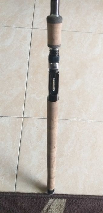 Cana pesca spinning cormoran