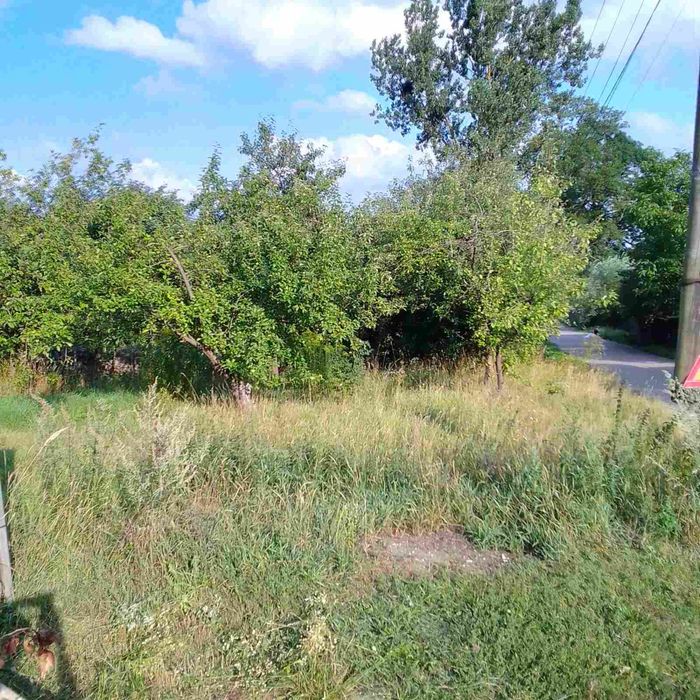 Продається будинок в Зелові