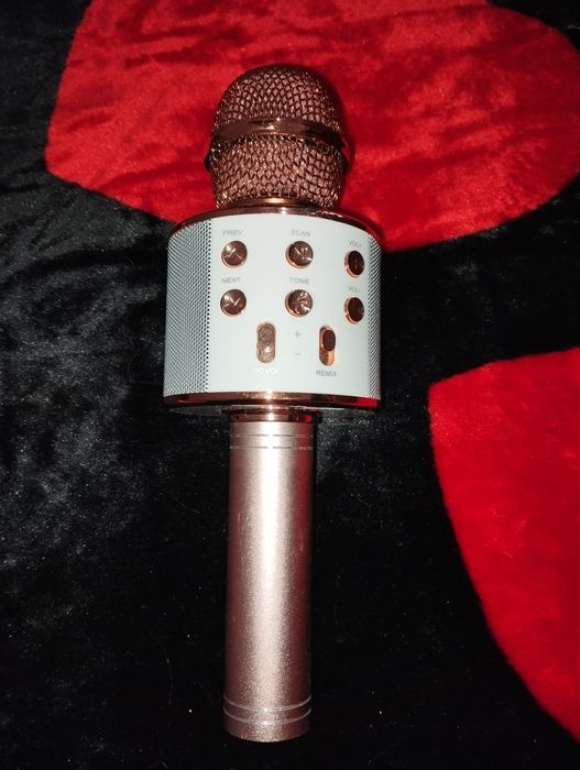 Microfone karaoke
