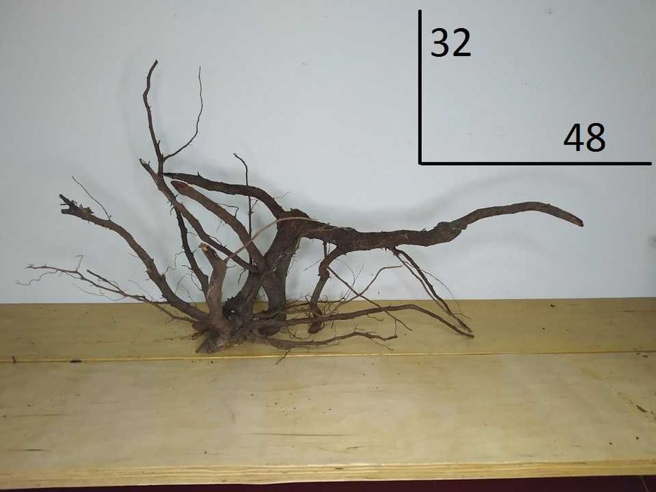 коряги для аквариума , террариума , флорариума .