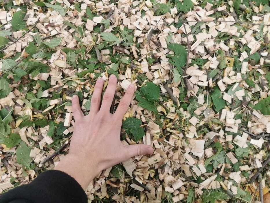 Wypożyczalnia, Wynajem duży Rębak, Rozdrabniacz LUMAG RAMBO Miechów