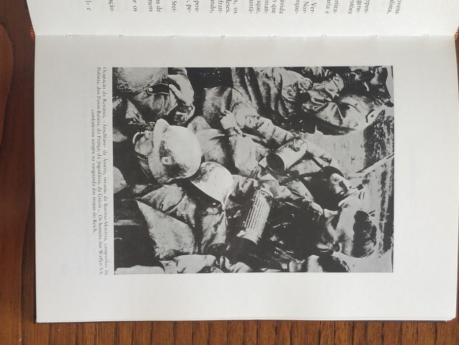 As Waffen SS, Erwan Bergot